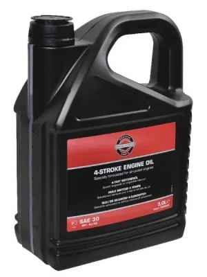 Briggs & Stratton SAE30 4T 5L Rychlé Dodání