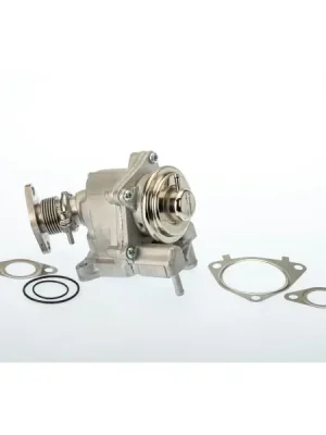 Horká Nabídka AGR-Ventil BorgWarner 7631D/1
