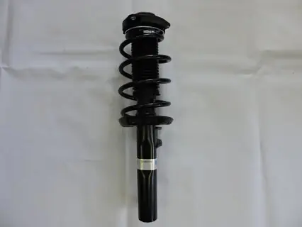 Expresní Doručení Tlumič přední kompletní OCTAVIA II., BILSTEIN 123495010DB