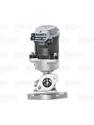 AGR-Ventil VALEO 700423 Super Cena