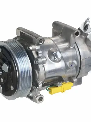 Kompresor, klimatizace DELPHI TSP0159851 Doprava Zdarma