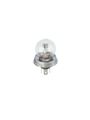 Vrácení Zdarma Bosch 1 987 302 023 Žárovka 12V R2 45/40W P45t