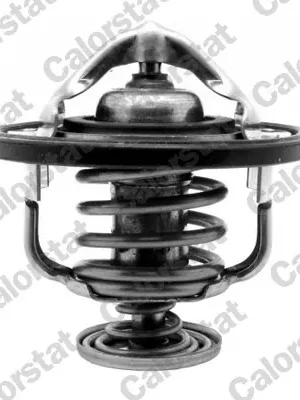 Termostat, chladivo CALORSTAT by Vernet TH726188J Top Prodej