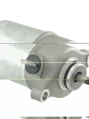 Přímo Od Výrobce Startér motoru RMS 246390340