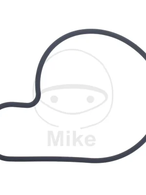 Výhodná Nabídka Těsnění vodní pumpy ATHENA S410510024030