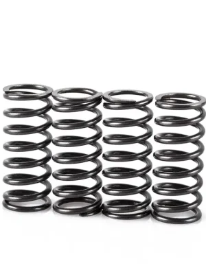 Horká Nabídka MOTION STUFF SPR0185 Spring clutch kit (STF-501-5036)