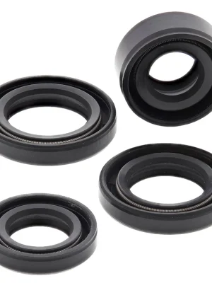 Sada gufer motoru WINDEROSA EOSK 822212 Must-Have