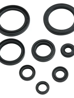 Sada gufer motoru WINDEROSA EOSK 822378 Top Prodej