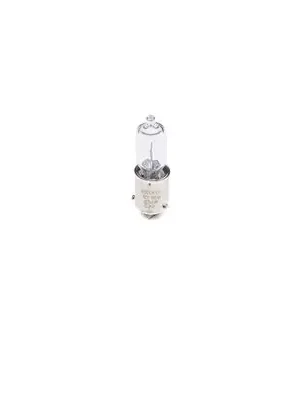 Žárovka, blikač BOSCH 1987302809 Nejlepší Cena
