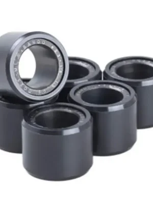 Koupit Online Závaží variátoru Premium BANDO WR190-170-120-6 19x17 12g (6 pcs)