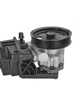 Hydraulické čerpadlo, řízení MEYLE 014 631 0015 Bezpečná Platba