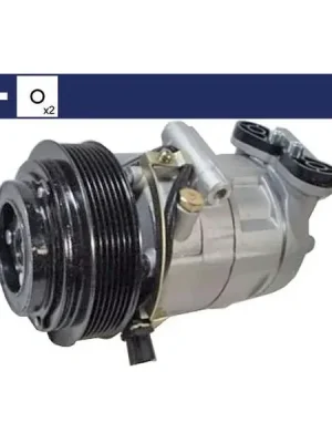 Nejlepší Volba Kompresor, klimatizace MAHLE ACP 1329 000S