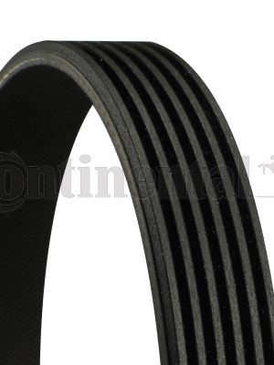Ozubený klínový řemen CONTITECH 6PK831ELAST Levný