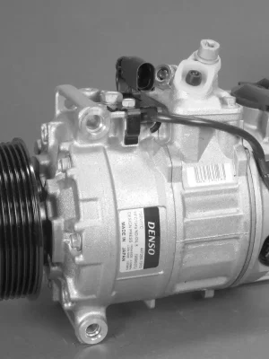Ověřený Kompresor, klimatizace DENSO DCP32021