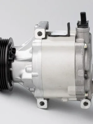 Kompresor, klimatizace DENSO DCP36001 Nízká Cena
