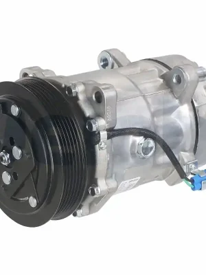 Kompresor, klimatizace DELPHI TSP0159381 Horká Nabídka