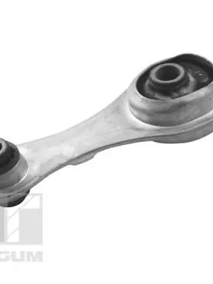 Bezpečná Platba Zavěšení motoru TEDGUM TED50390