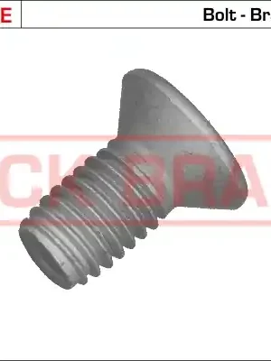 Šroub, brzdový kotouč QUICK BRAKE 11670 Cenová Bomba
