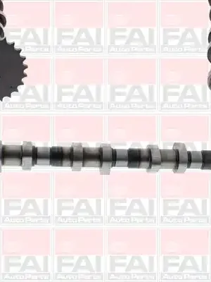 Vačkový hřídel FAI AutoParts C387 Nejlepší Volba