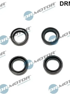 Cenová Bomba Těsnění, držák trysky DR.MOTOR AUTOMOTIVE DRM0326S