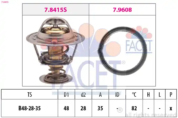 Poslední Šance Termostat, chladivo FACET 78415