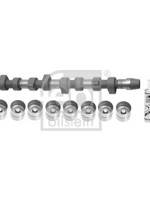 Výhodná Nabídka Sada vačkového hřídele FEBI BILSTEIN 10010