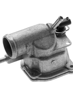 Termostat, chladivo DENSO DTM87497 Nejlepší Cena