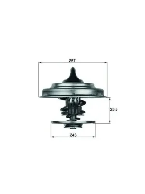 Termostat, chladivo MAHLE TX 18 55D Dokud Zásoby Vydrží