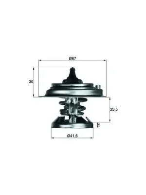 Termostat, chladivo MAHLE TX 29 75D Doprava Zdarma