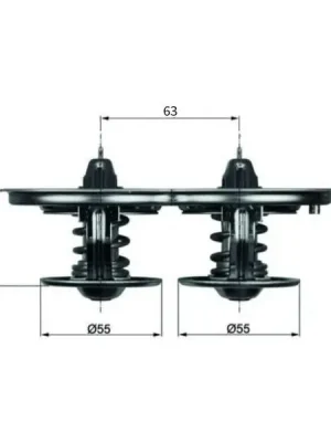 Termostat, chladivo MAHLE TX 32 80D Nová Kolekce