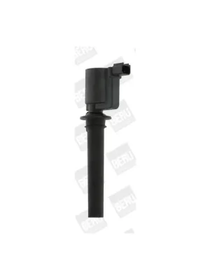 Koupit Online Zapalovací cívka BorgWarner (BERU) ZS410