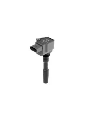 Must-Have Zapalovací cívka BorgWarner (BERU) ZSE224
